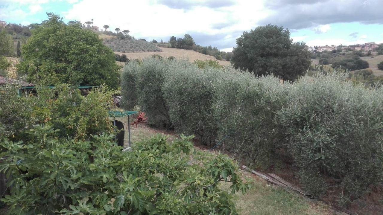 Agriturismo Cerquaglia Todi Exterior foto
